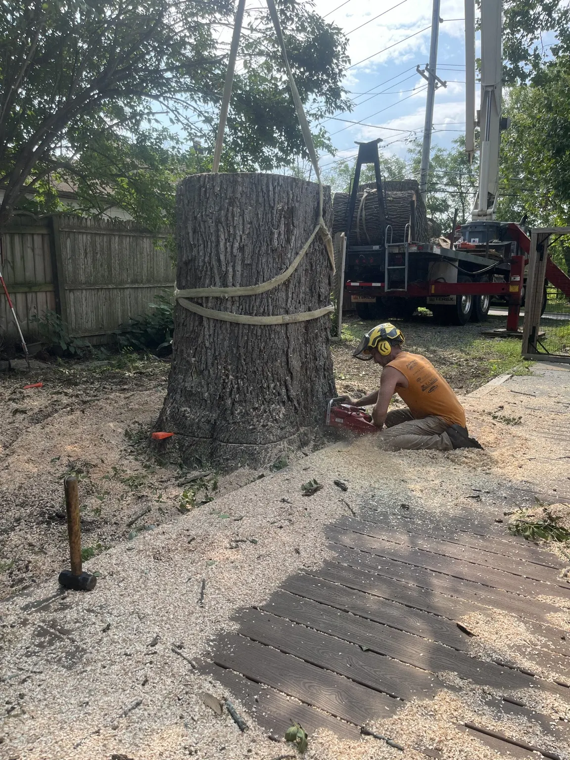 Arborist cutting a large-diameter tree trunk rigged to a crane in Belle Mead, NJ