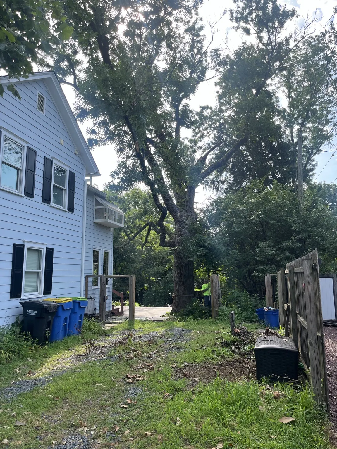 Tree removal in a tight-access backyard right next to a house in Belle Mead, NJ