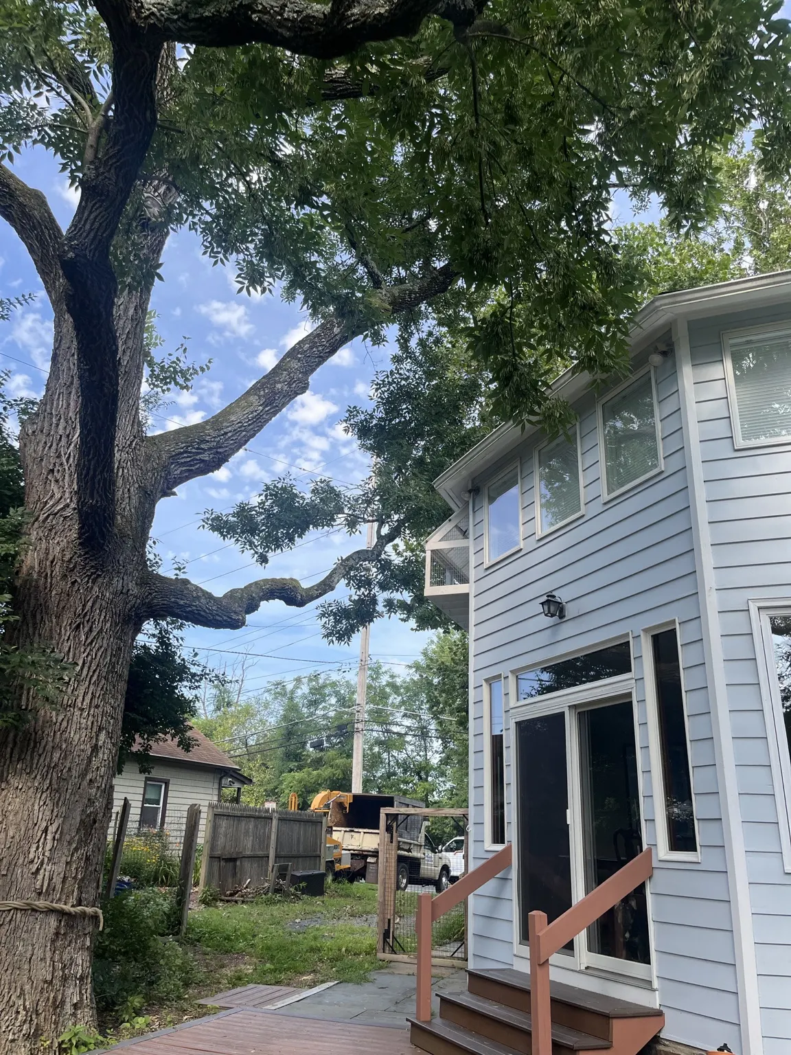 Large overhanging tree limb being removed near a home in Belle Mead, NJ