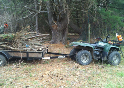 Brush hauled, site cleared