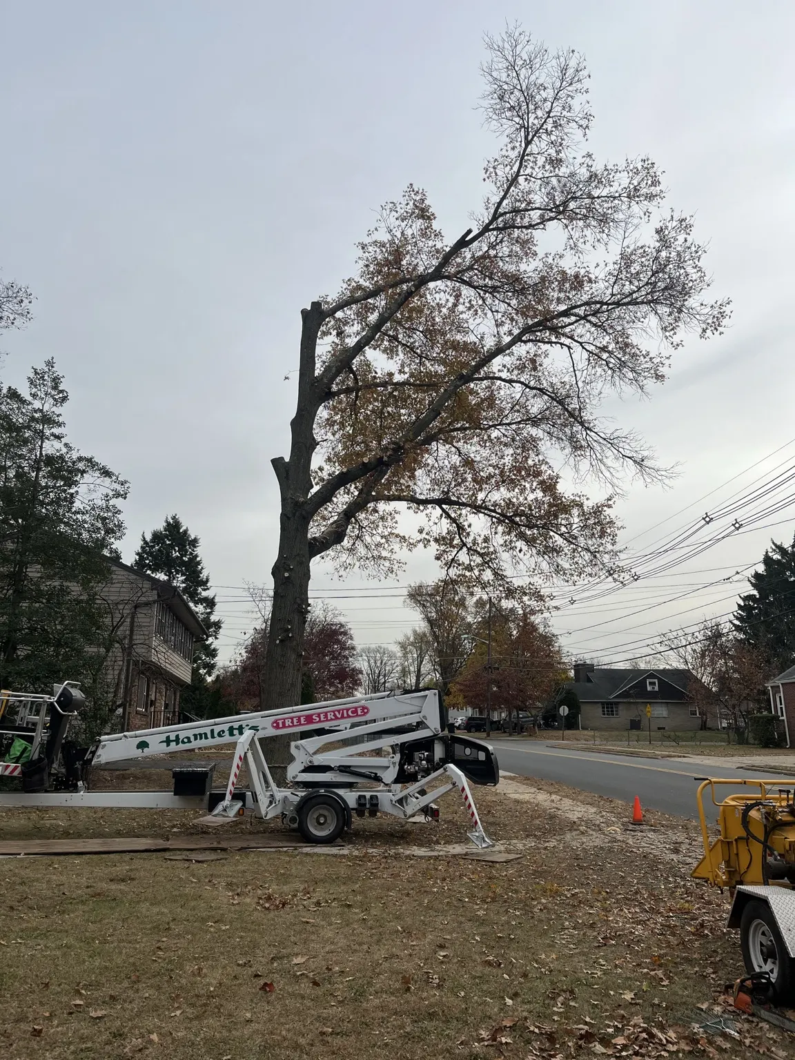Hamlett's spider lift staged on a front lawn for a large tree limb removal in Belle Mead, NJ