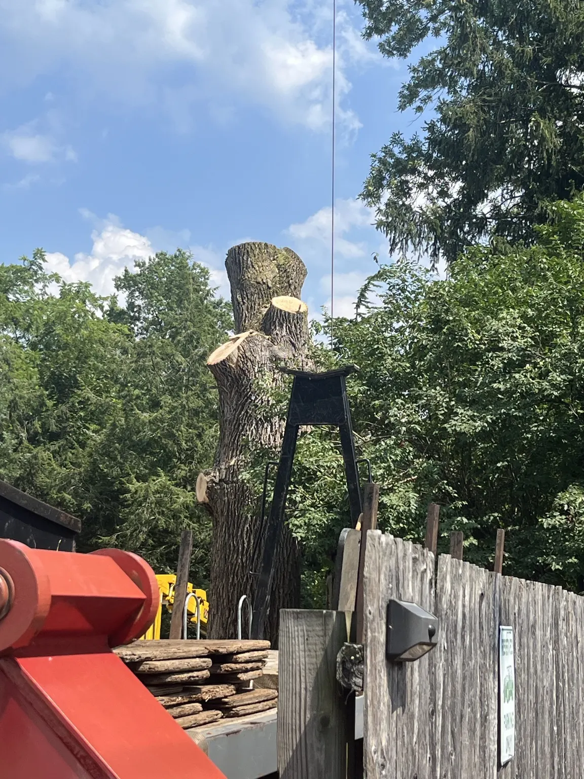 Large tree trunk being dismantled with crane rigging in Belle Mead, NJ