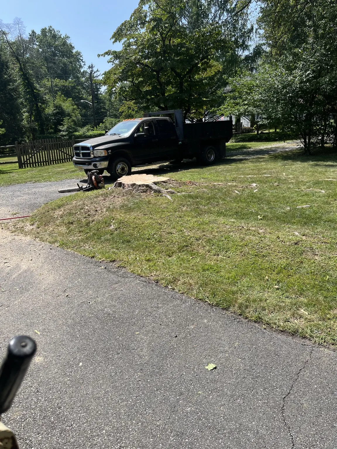 Tree stump and cleaned-up property after tree removal in Belle Mead, NJ