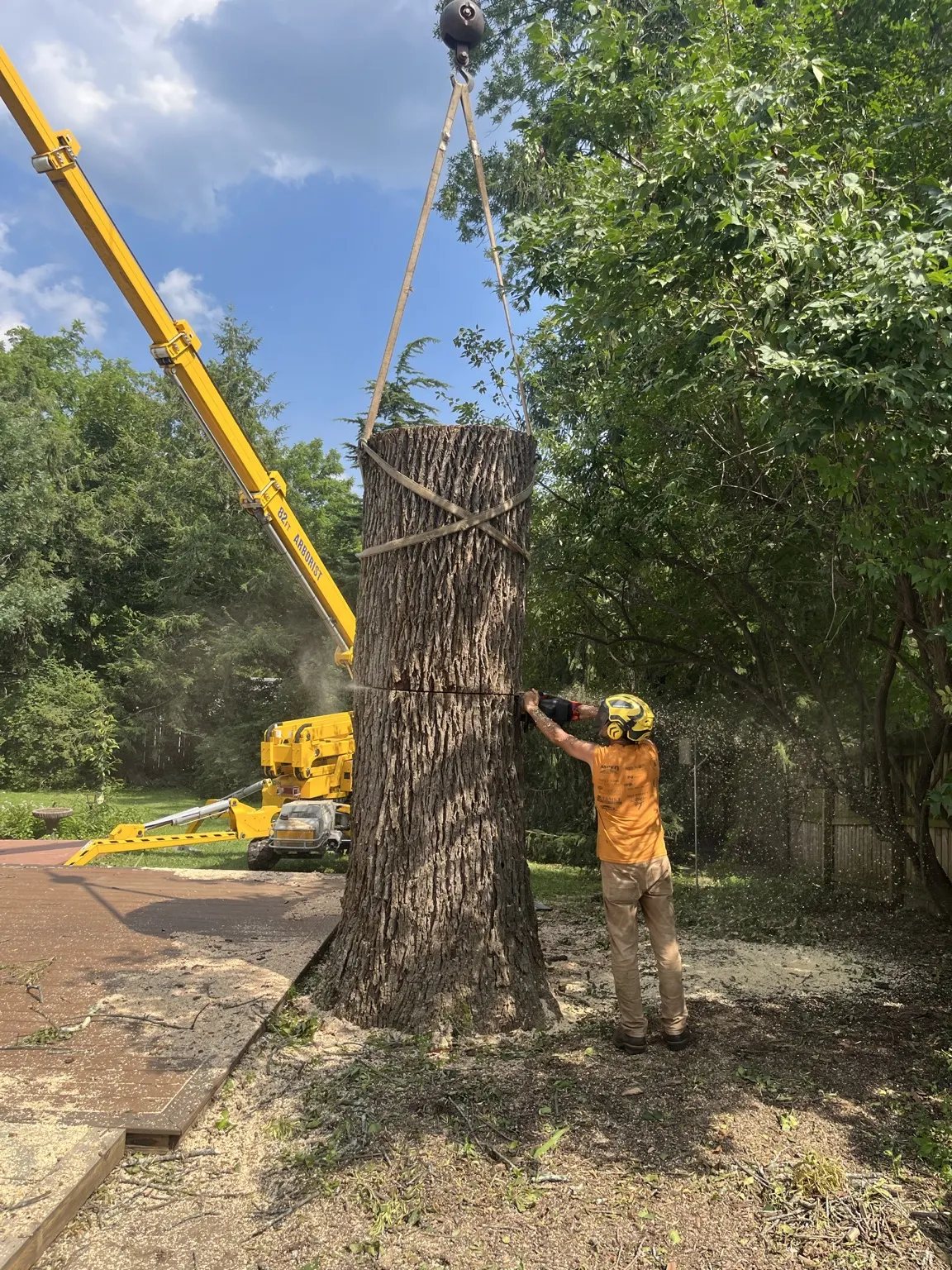 Arborist cutting a rigged tree trunk section while a crane holds it in Belle Mead, NJ