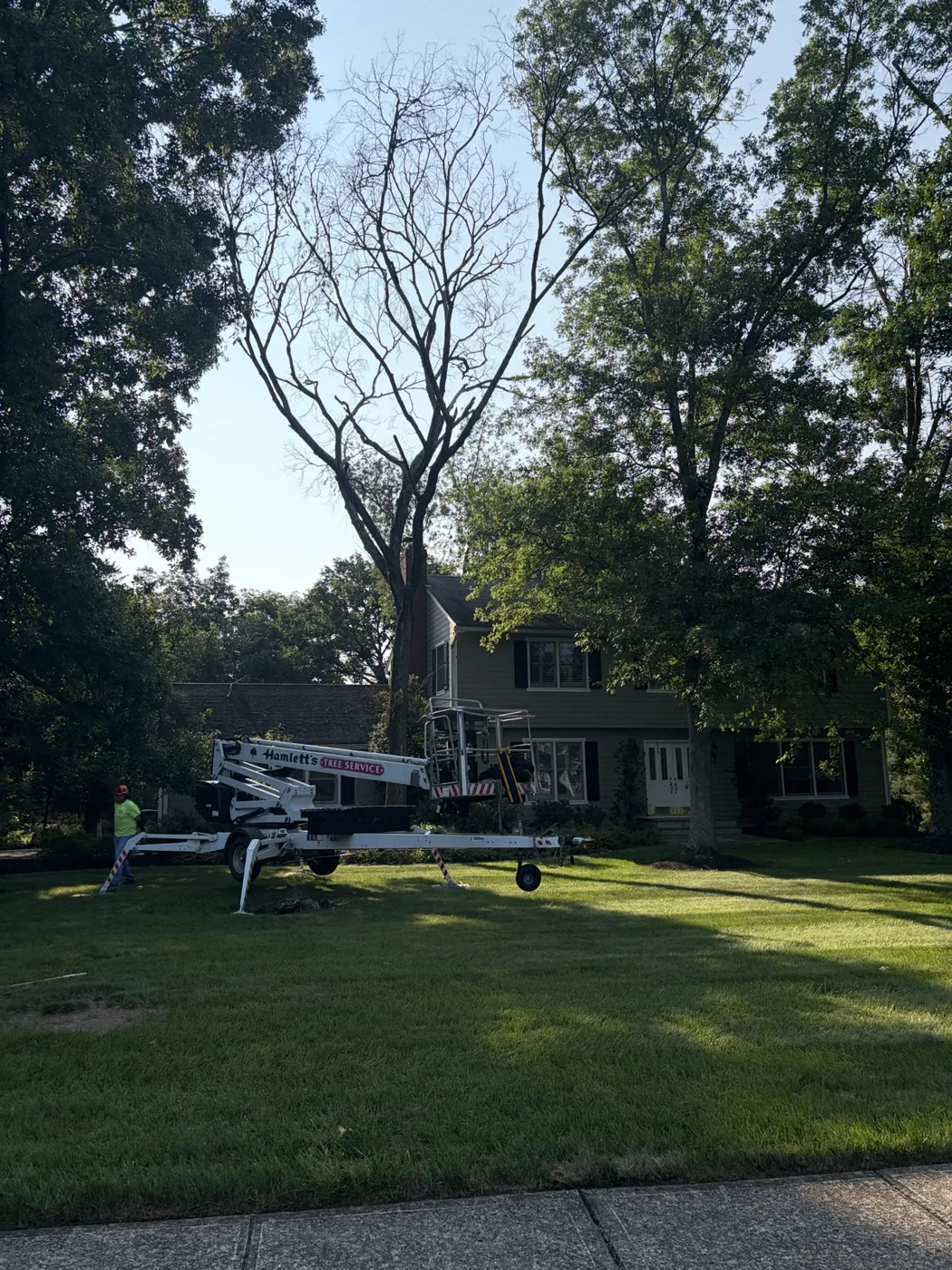 Hamlett's Tree Service lift set up for dead tree removal near a home in Belle Mead, NJ