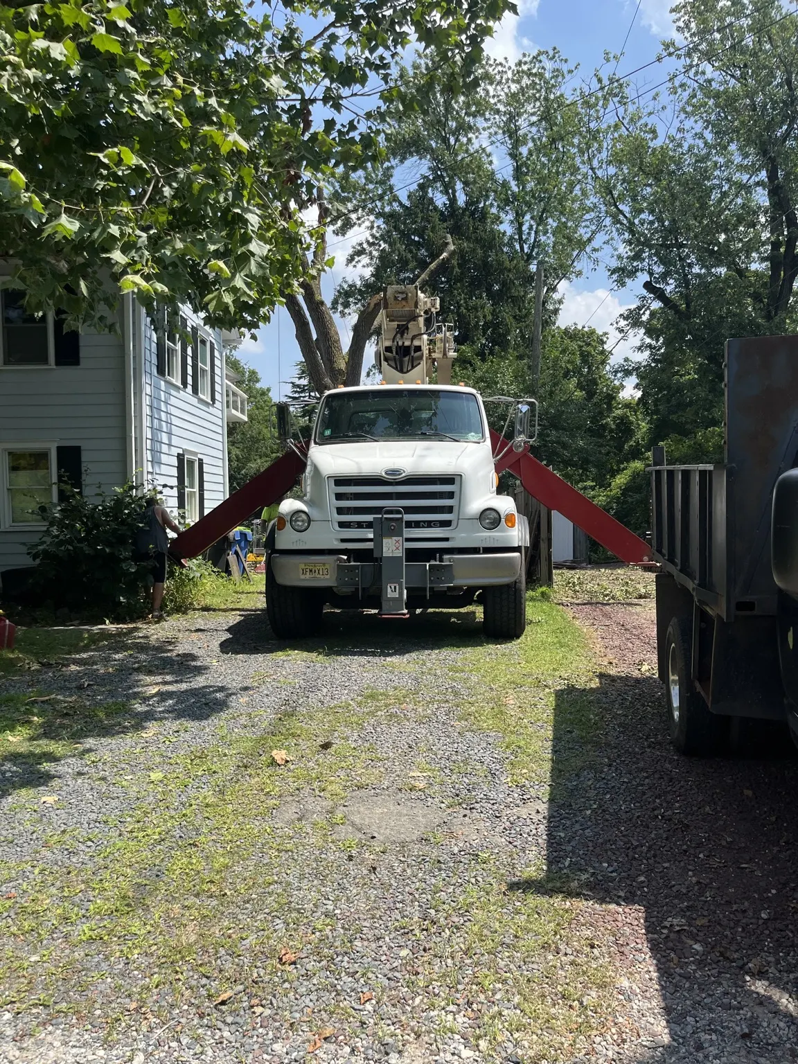 Crane truck set up for a tight-access tree removal between a house and fence in Belle Mead, NJ