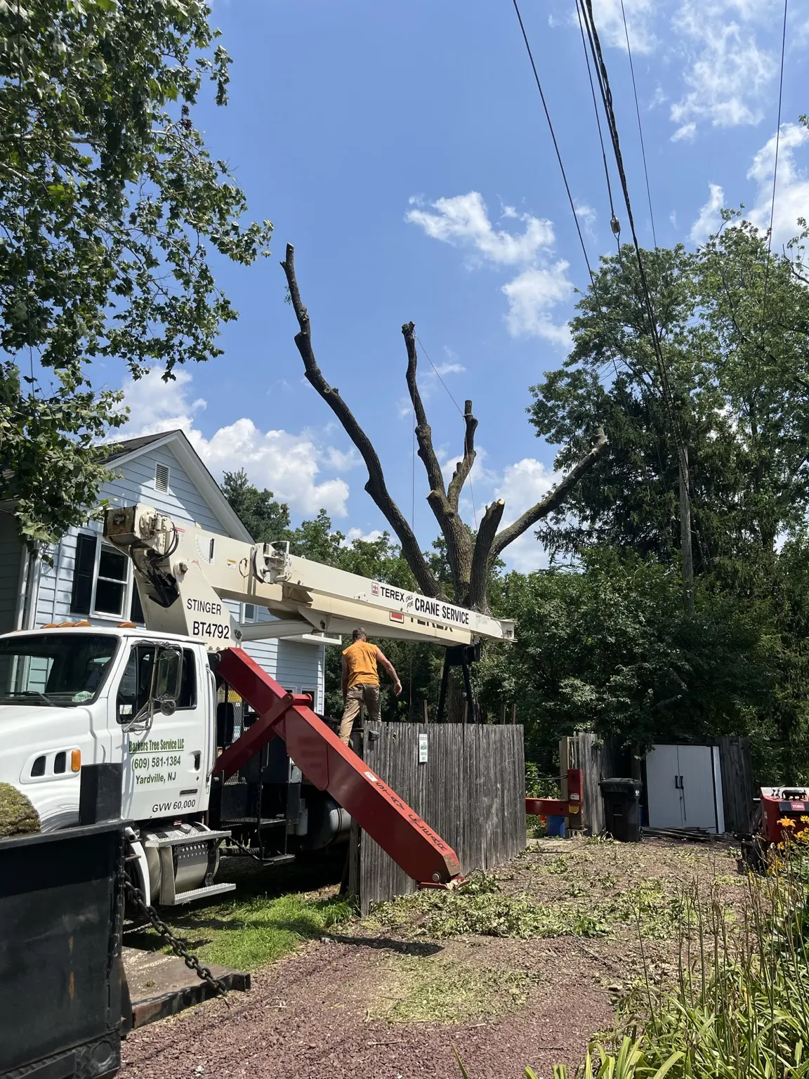 Hamlett's crane-assisted tree removal next to a home in Belle Mead, NJ