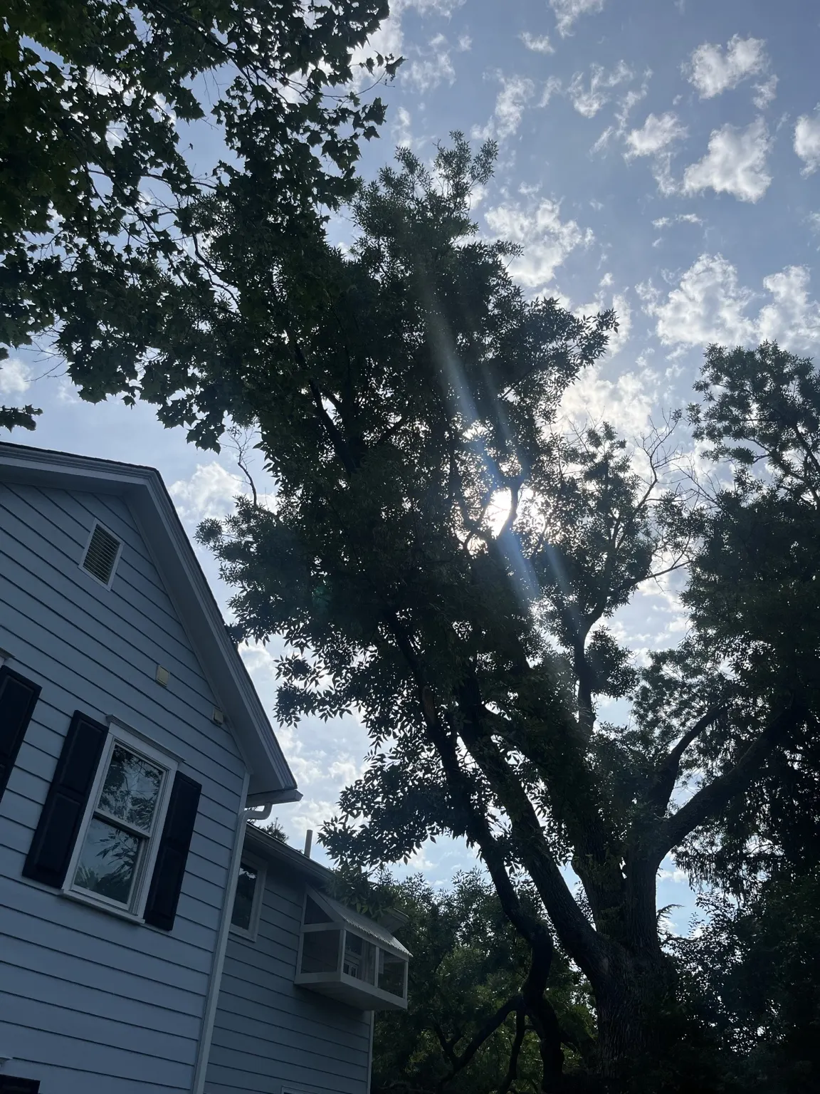 Hazardous tree branches hanging over a house roof in Belle Mead, NJ